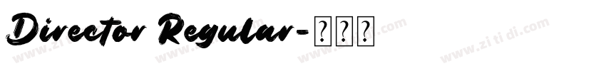 Director Regular字体转换
